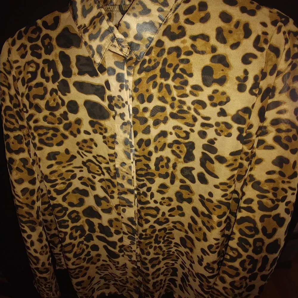 Long sleeves chiffon shirt